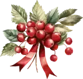 Christmas berries with red ribbon